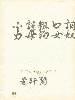 小说粗口调教暴力母狗女奴