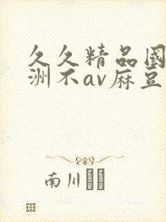 久久精品国产亚洲不av麻豆