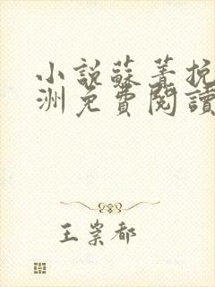 小说苏菁挽段奕洲免费阅读