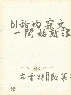 bl甜肉宠文 一开始就很宠封面