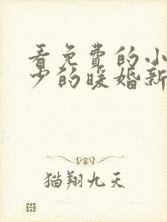 看免费的小说陆少的暖婚新妻