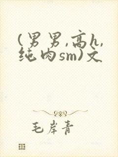 (男男,高h,纯肉sm)文