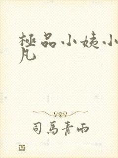 极品小姨小说叶凡