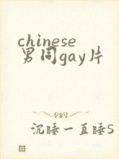 chinese男同gay片封面
