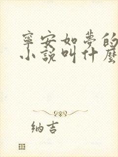 宁安如梦的原著小说叫什么封面