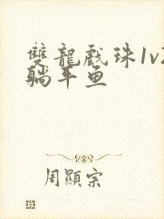 双龙戏珠1v2躺平鱼