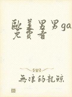 欧美男男gay免费看封面