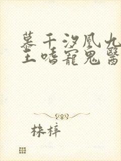 慕千汐凰九夜邪王嗜宠鬼医狂妃免费阅读