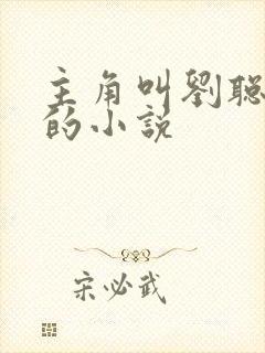 主角叫刘聪赵兰的小说