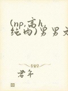 (np,高h,纯肉)男男文
