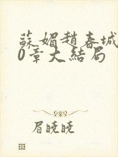 苏媚赵春城150章大结局封面
