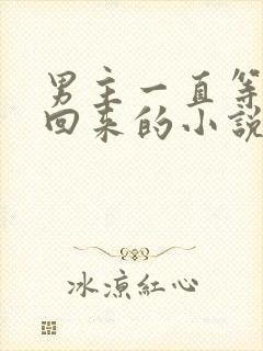 男主一直等女主回来的小说