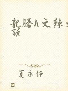 龙腾h文辣文小说
