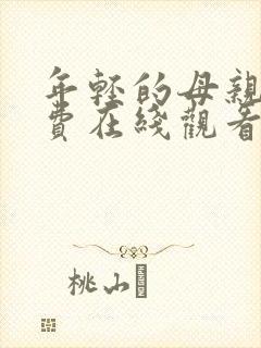 年轻的母亲四免费在线观看封面