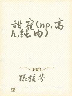 甜宠(np,高h,纯肉)