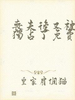 丧夫后又被前任独占了免费阅读