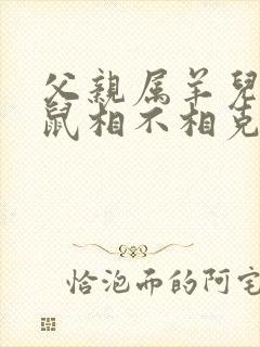 父亲属羊儿子属鼠相不相克
