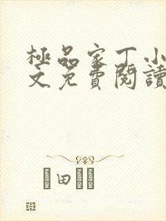 极品家丁小说全文免费阅读笔趣阁