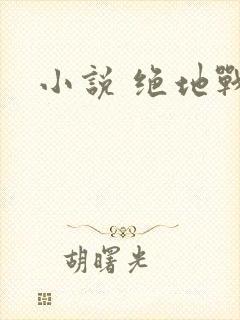 小说 绝地战龙