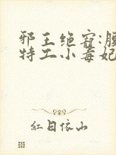 邪王绝宠:腹黑特工小毒妃