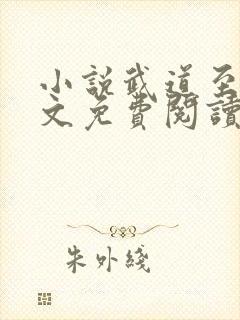 小说武道至尊全文免费阅读