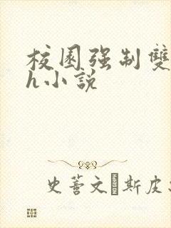 校园强制双性高h小说封面