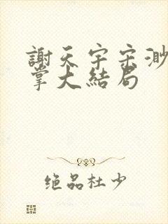 谢天宇宋渺三巴掌大结局