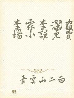 李霖李澜巅峰官场小说免费阅读