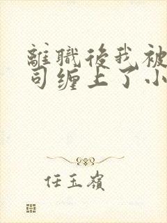 离职后我被前上司缠上了小说在线阅读