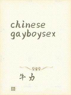 chinesegayboysex