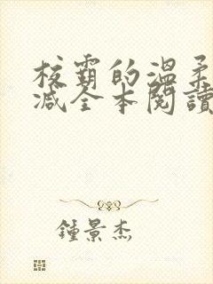 校霸的温柔无删减全本阅读
