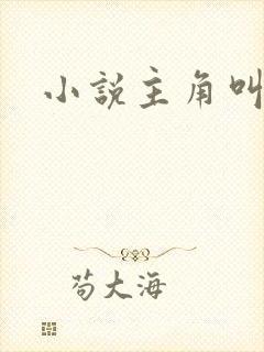 小说主角叫林凡