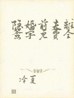 隐婚前夫离婚请签字免费全文