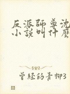 反派师尊沈括的小说叫什么