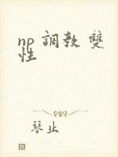 np 调教 双性