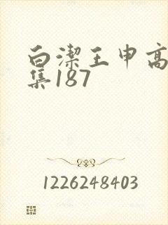 白洁王申高义全集187
