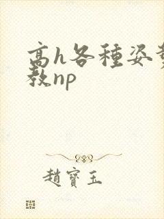 高h各种姿势调教np