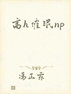 高h催眠np