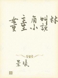 女主角叫林月的重生小说