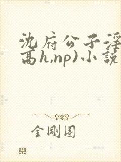 沈府公子淫史(高h,np)小说封面