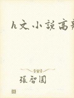 h文小说高辣文封面