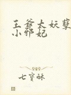 王爷太妖孽独宠小邪妃