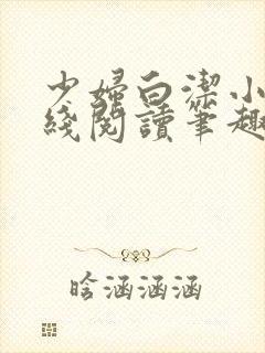 少妇白洁小说在线阅读笔趣阁封面