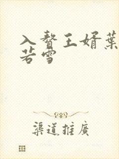入赘王婿叶凡唐若雪