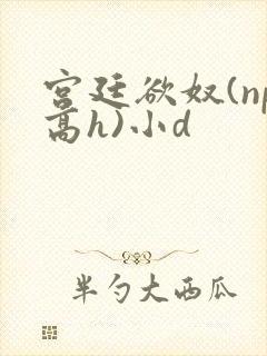 宫廷欲奴(np高h)小d