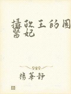 摄政王的团宠小医妃