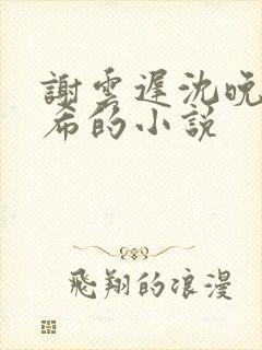 谢云迟沈晚梨叶希的小说
