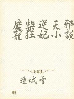 废柴逆天邪王霸宠狂妃小说封面