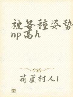 被各种姿势玩弄np高h