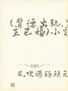 (背德出轨,男主已婚)小说